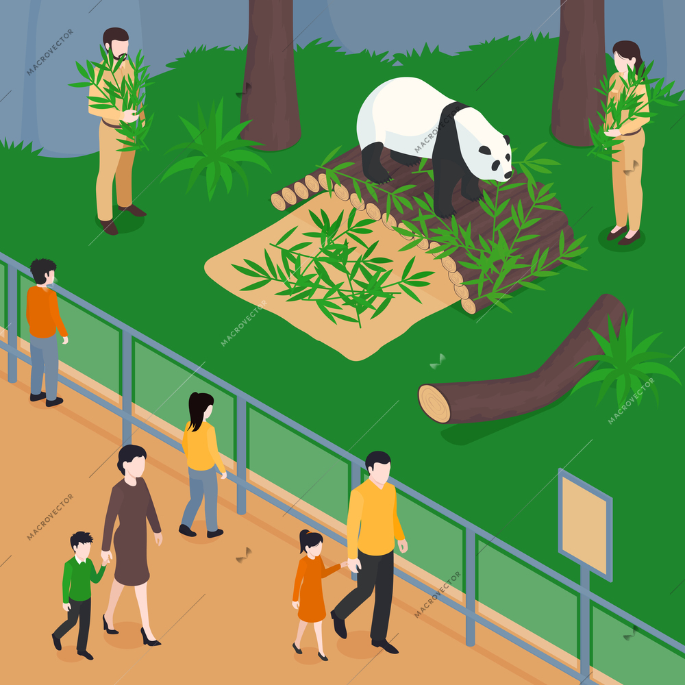 Isometric zoo composition with view of panda park with bamboo leaves workers and visitors behind barrier vector illustration