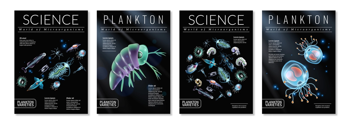 Set of four posters on theme of plankton varieties as template for magazine articles brochures book covers vector illustration