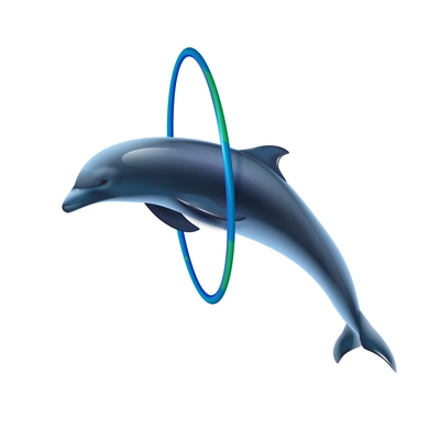 Dolphin jumping through ring closeup isolated realistic image side view white background vector illustration