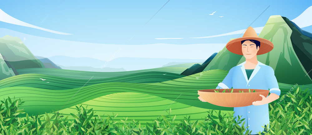 Natural tea production horizontal poster with chinese man busy harvesting on tea plantation flat vector illustration