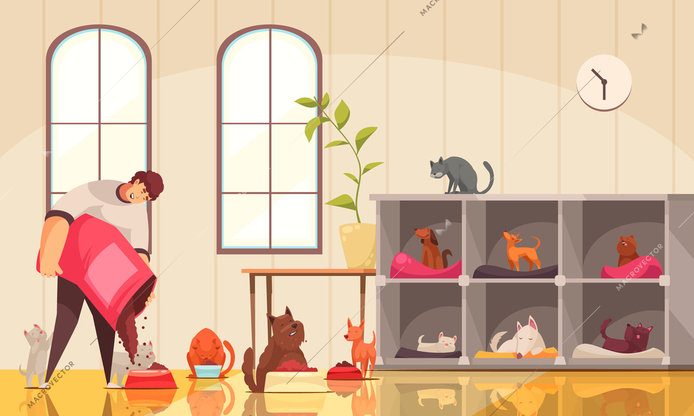 Pet sitter dogs composition with indoor scenery and male human character feeding many dogs and cats vector illustration