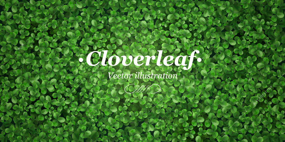 Green ground cover plants grass background title header poster with clover leaves realistic top view vector illustration