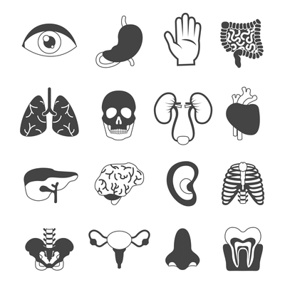 Human organs black and white set of kidney skin liver isolated vector illustration