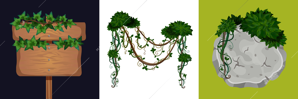 Liana design concept with images of stone and wooden sign board wrapped around by vine leaves vector illustration