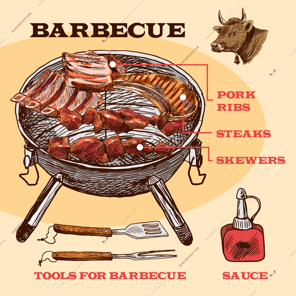 Meat bbq set sketch infographic with pork ribs and steaks vector illustration