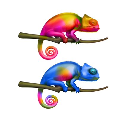 Two bright colorful chameleon lizards sitting on tree branches closeup isolated realistic images white background vector illustration