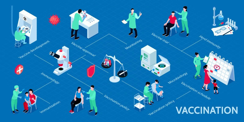 Vaccination isometric infographics  scheme from approval immunization to vaccine trials and development of  herd immunity vector illustration