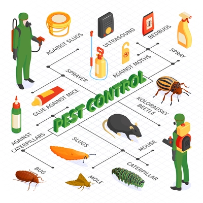 Isometric pest control flowchart composition with desinsection products sprays and glues with disinfectors vermins and text vector illustration