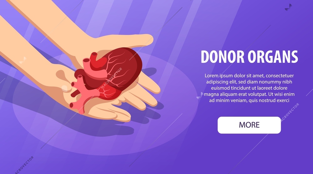 Isometric donor human organs horizontal banner with hands holding anatomic heart and text with more button vector illustration