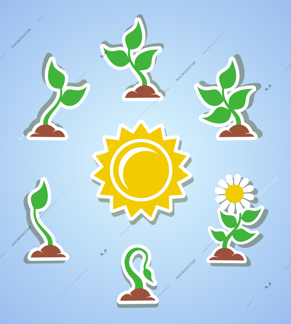 Growth progress icons set isolated vector illustration