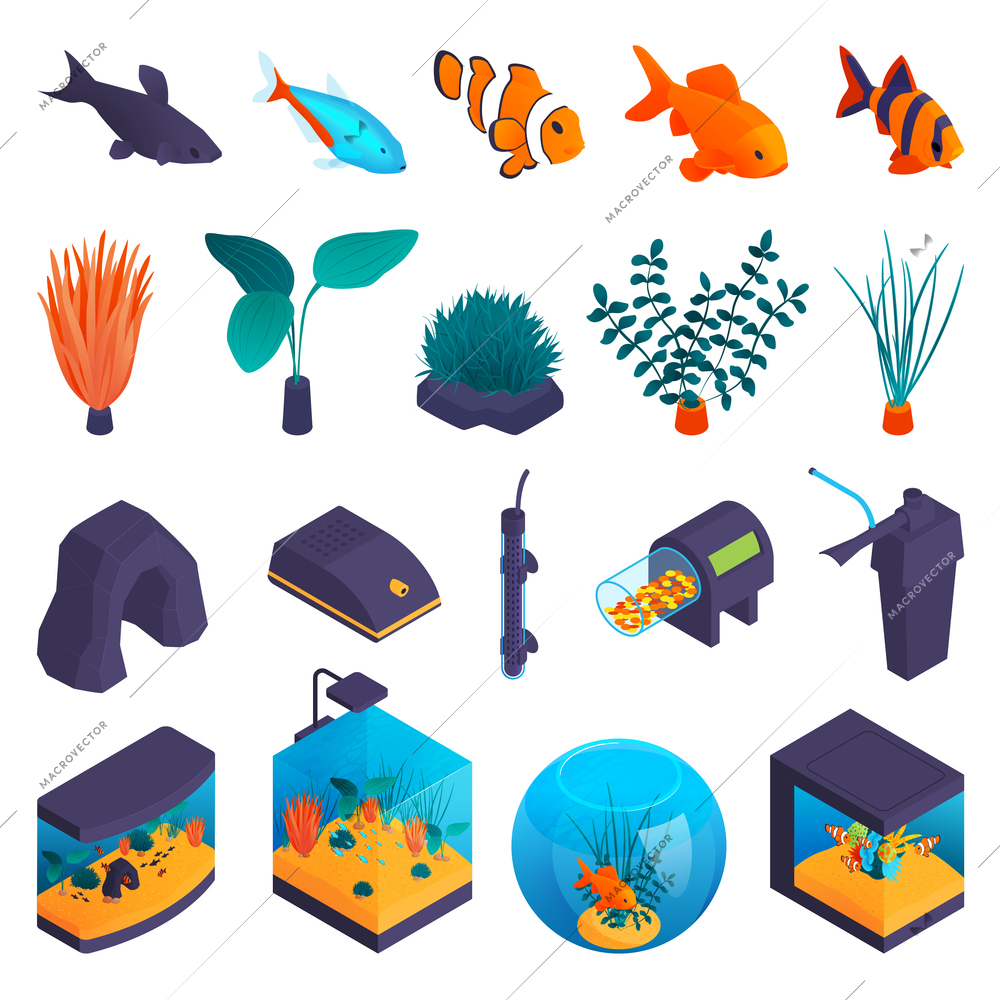 Aquarium inhabitants and accessories isometric set  including colorful fishes seaweed plants thermometer filter feeder and lamp isolated vector illustration