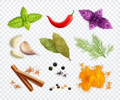 Spices and herbs transparent set of chili pepper garlic cloves aromatic culinary powder realistic vector illustration