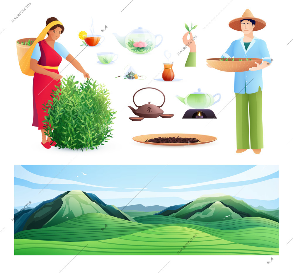 Natural tea production flat set of indian woman and chinese man busy harvesting vector illustration