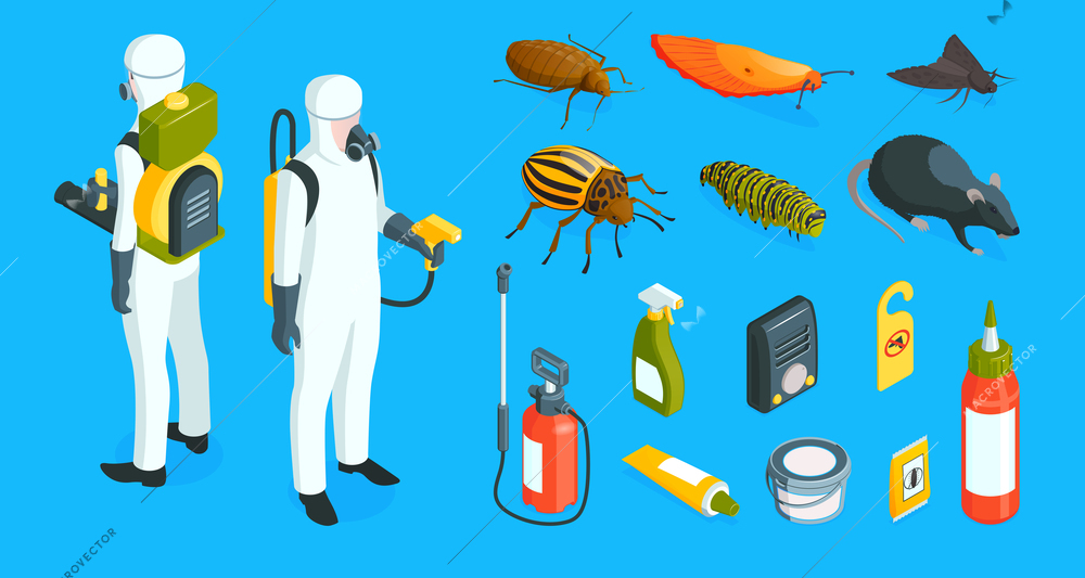 Isometric pest control color set with icons of chemicals detergents people in protective suits and insects vector illustration