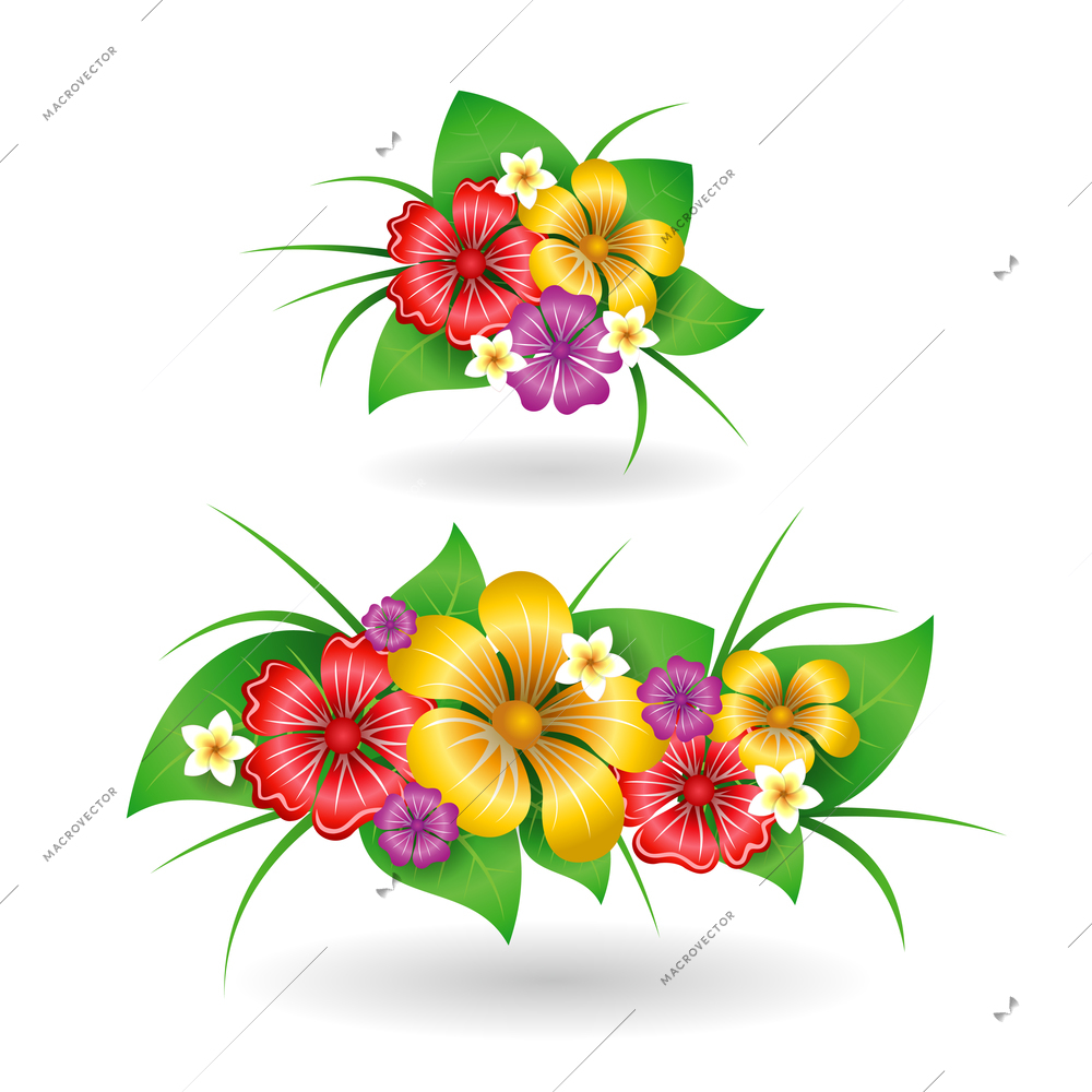 Tropical flowers decor elements isolated vector illustration