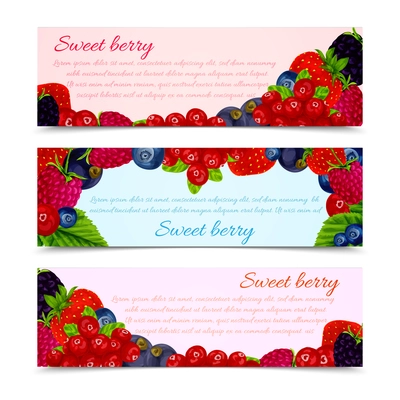 Natural organic forest berries banners horizontal set vector illustration