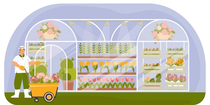 Flower farm nursery worker in front of glass greenhouse with exotic plants tulips flat composition vector illustration