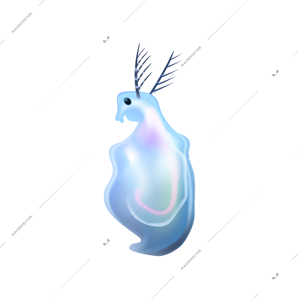 Single blue color plankton on white background realistic vector illustration