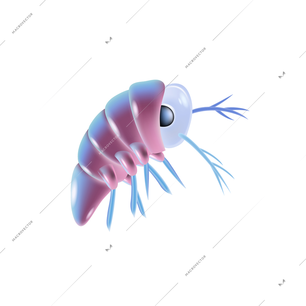 Realistic icon of marine plankton on white background vector illustration