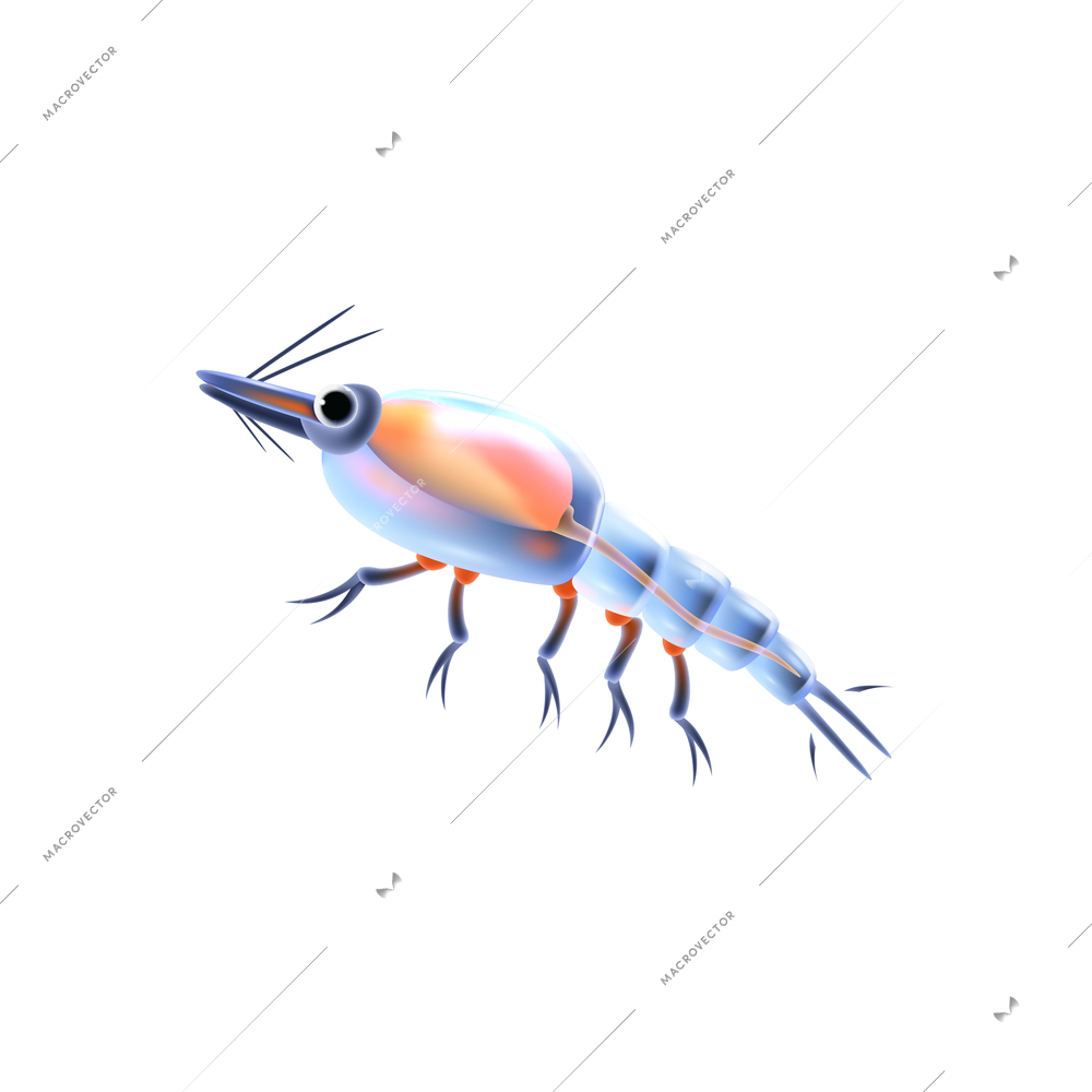 Realistic icon of colored krill plankton vector illustration