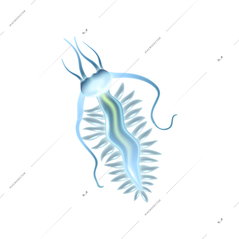 Sea or ocean plankton on white background realistic vector illustration