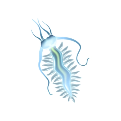 Sea or ocean plankton on white background realistic vector illustration