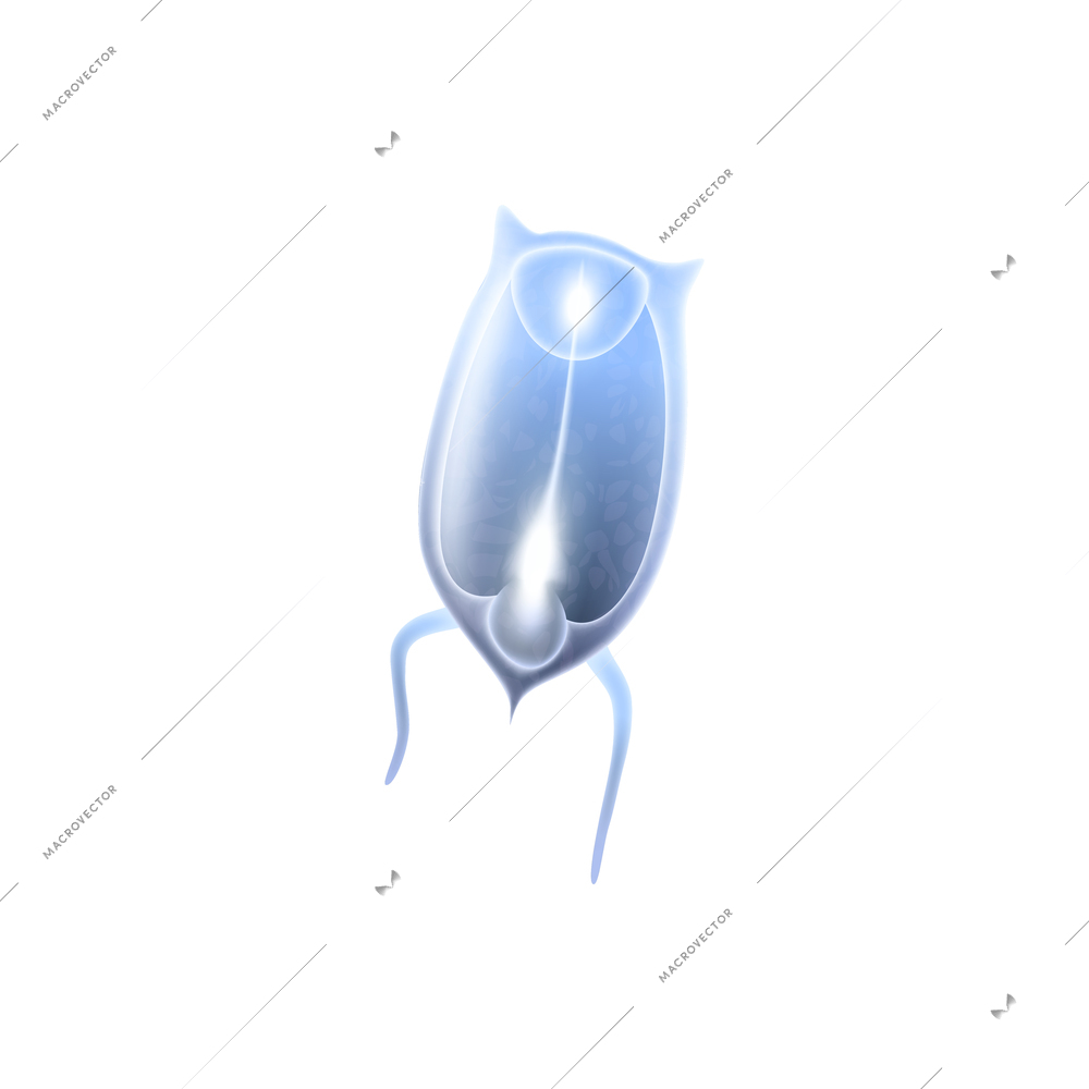 Single colored plankton icon on white background realistic vector illustration