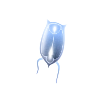 Single colored plankton icon on white background realistic vector illustration