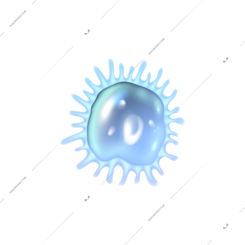 Realistic plankton species on white background vector illustration