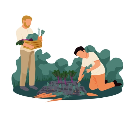 Flat human characters gathering harvest on farm vector illustration