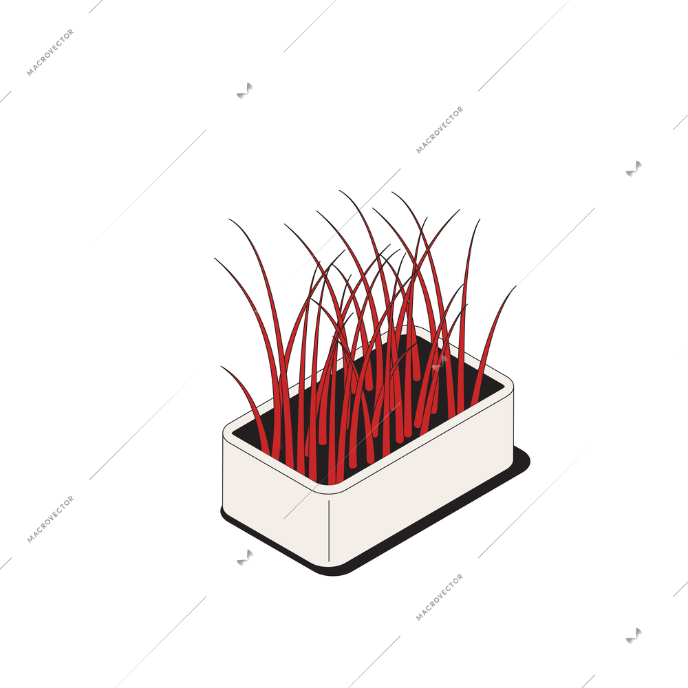 Grass in pot for cats and other pets 3d isometric icon vector illustration