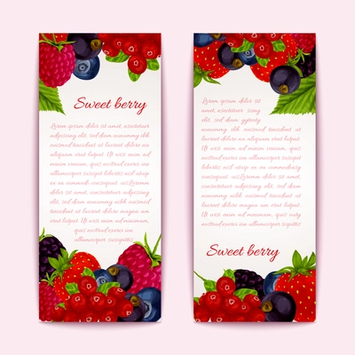 Natural organic forest healthy berries banners vertical set vector illustration