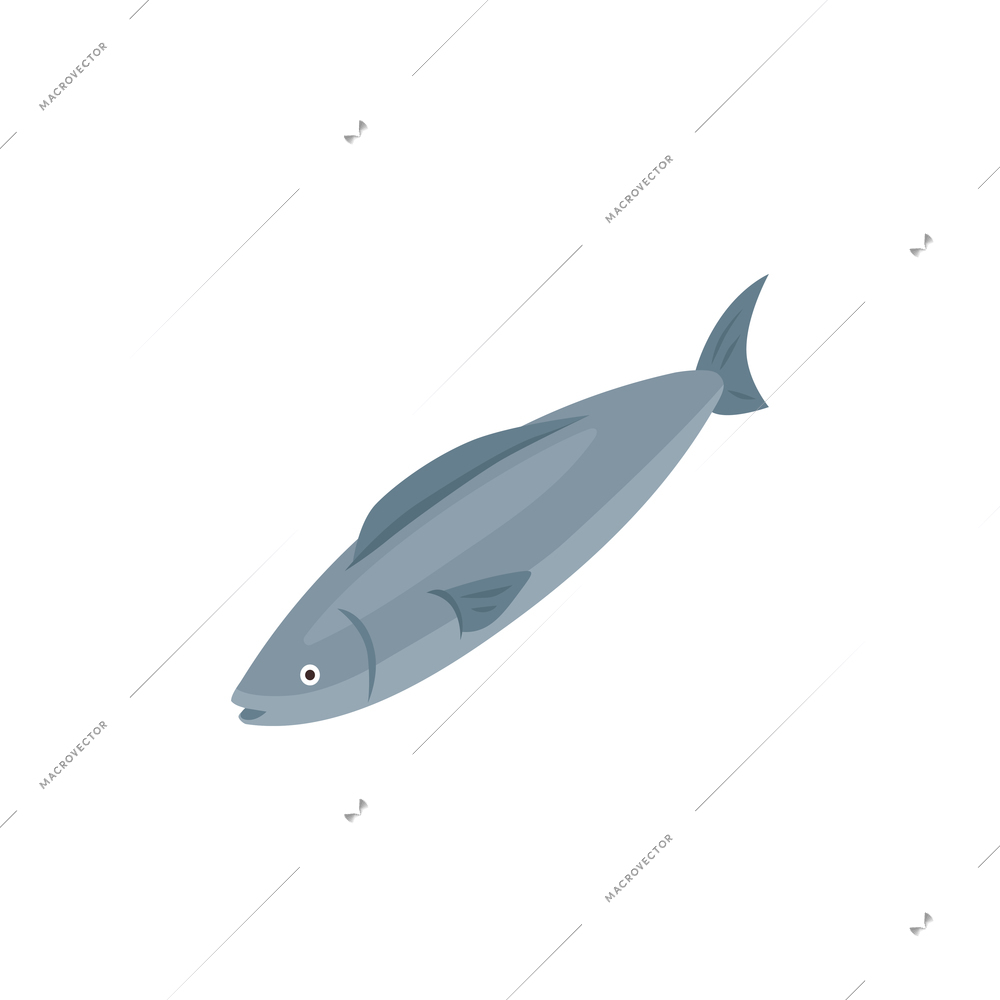 Isometric icon of single big fish 3d vector illustration