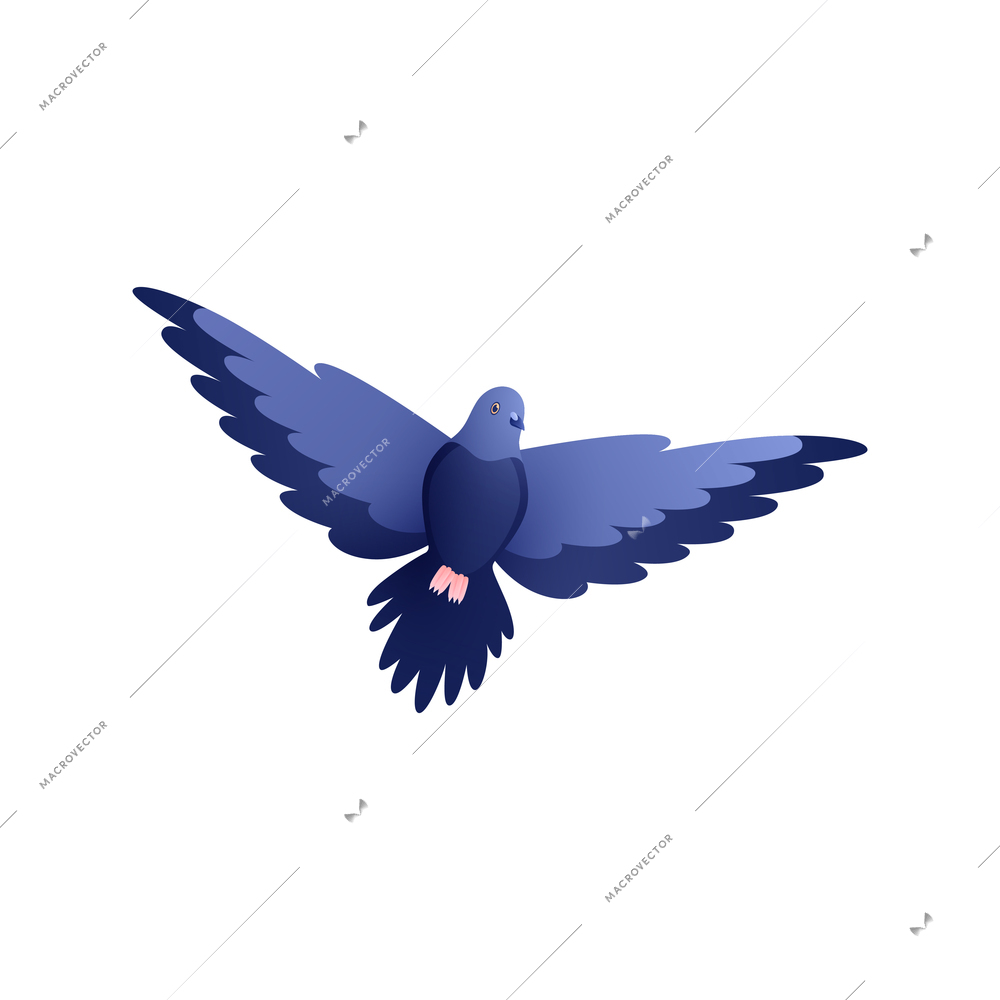 City pigeon flying in sky flat vector illustration