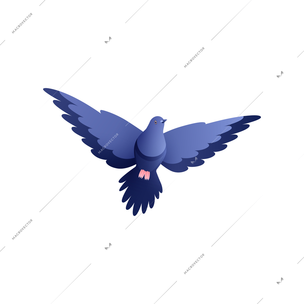 Flying pigeon on white background flat vector illustration