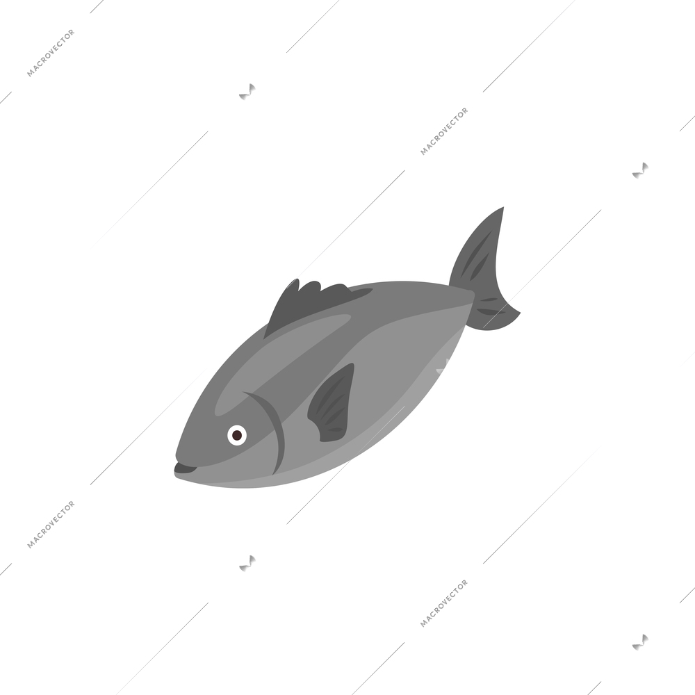 Grey color fish on white background 3d isometric vector illustration