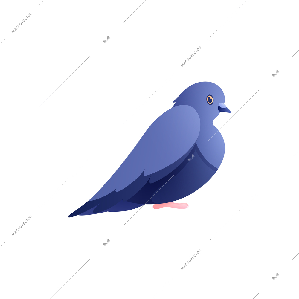 Flat design icon with cute pigeon side view vector illustration