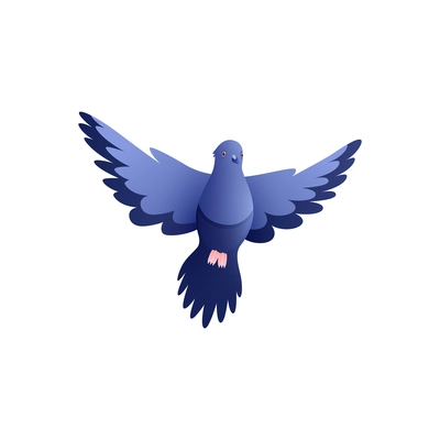 Blue city pigeon front view icon flat vector illustration