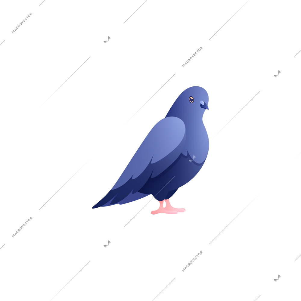 Single icon of city pigeon on white background flat vector illustration