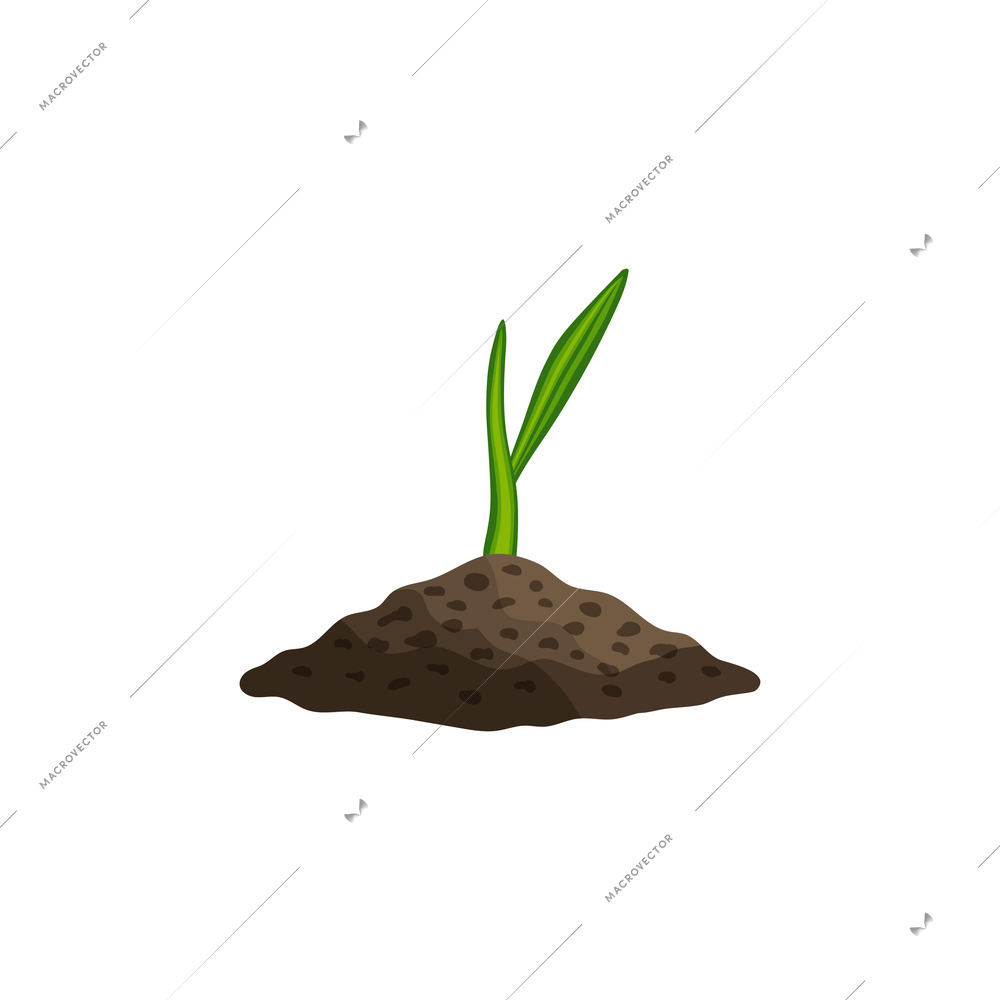 Small sprout of wheat in ground realistic vector illustration