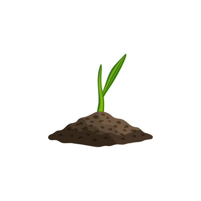 Small sprout of wheat in ground realistic vector illustration