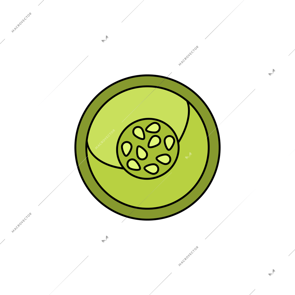 Bright flat icon of green vegetable slice vector illustration