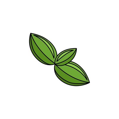 Sweet green basil leaves flat icon on white background vector illustration