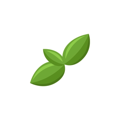 Flat icon of green basil leaf vector illustration