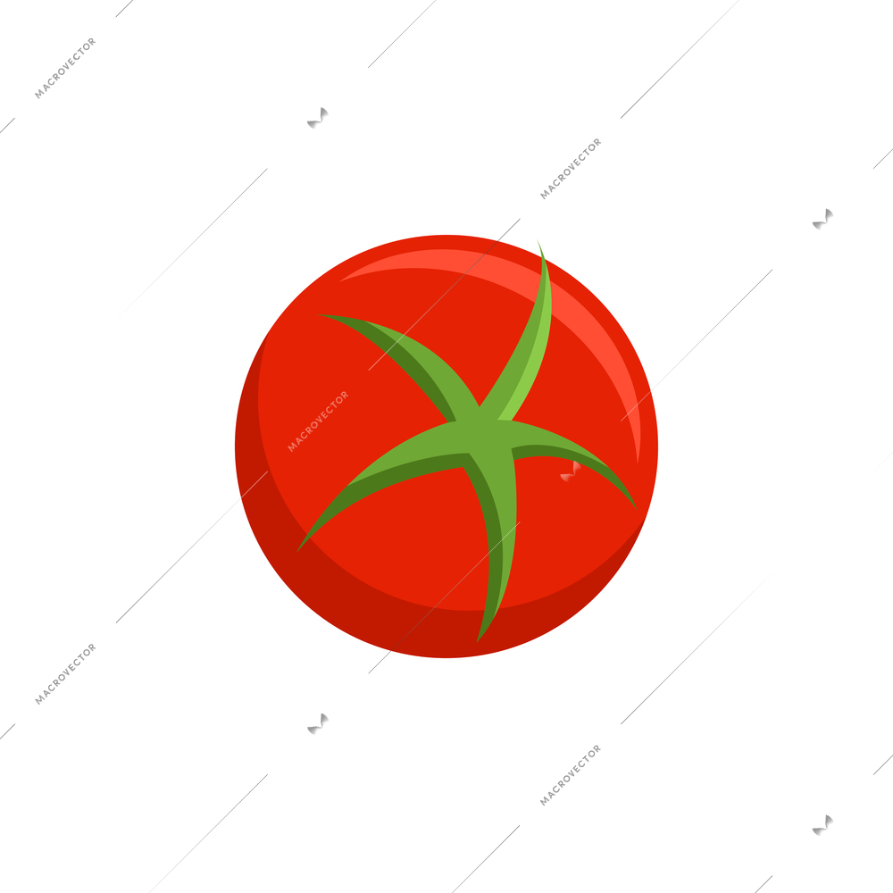 Fresh tomato with green leaves on white background flat vector illustration