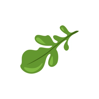 Green herb leaf on white background flat icon vector illustration