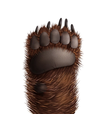 Bottom view of realistic furry bear paw on white background vector illustration