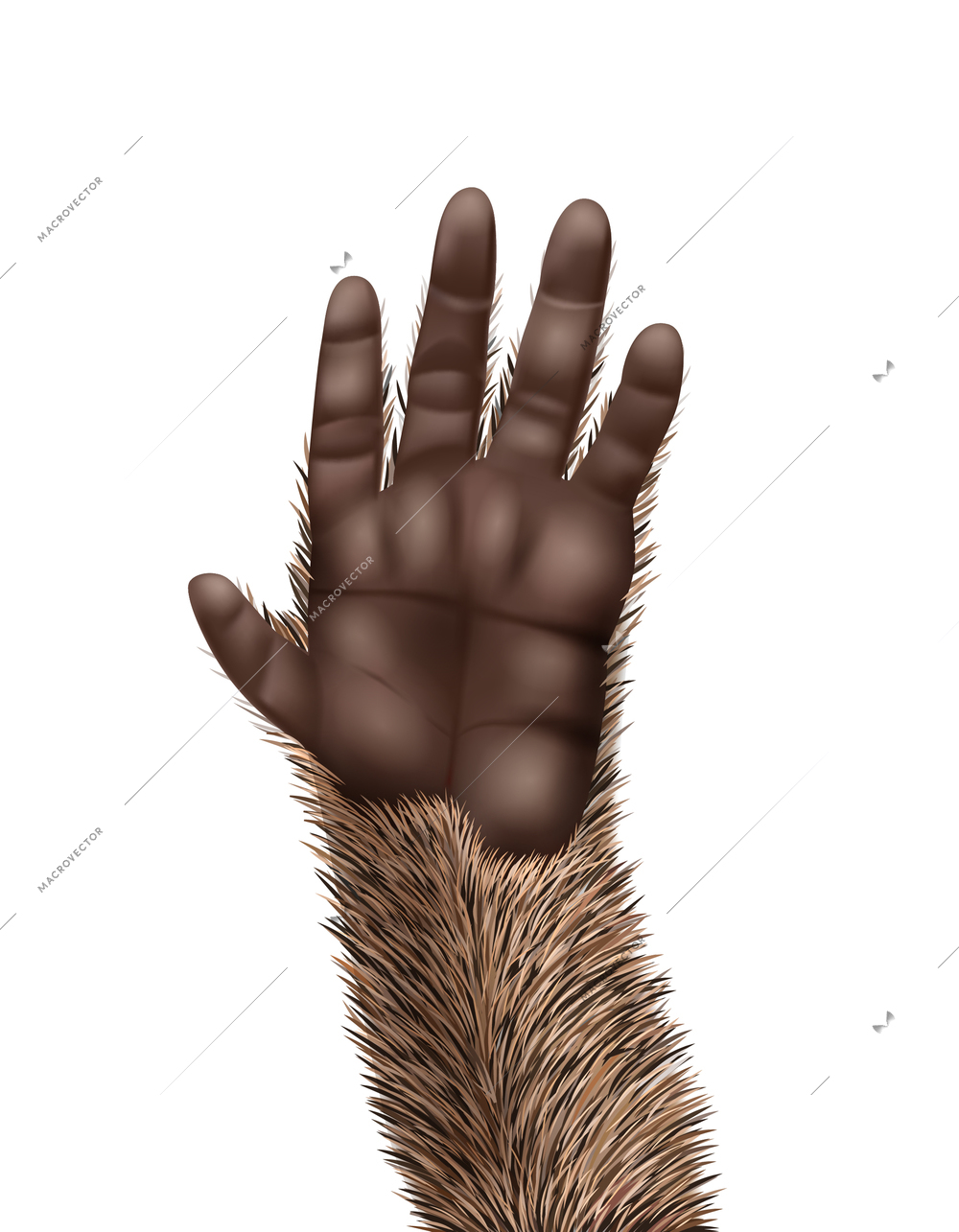 Realistic animal icon with cute monkey paw vector illustration