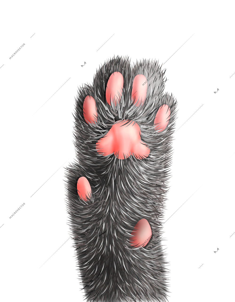 Realistic grey cat paw with pink pads vector illustration