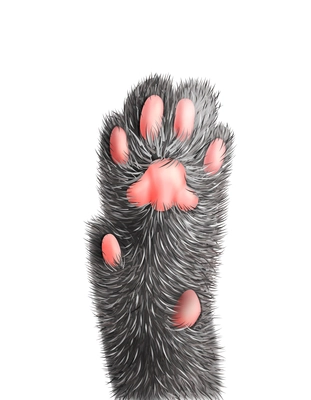 Realistic grey cat paw with pink pads vector illustration